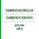 САМБУКУС ЭБУЛУС (SAMBUCUS EBULUS) LM 4 раствор 10 мл - Гомеопатия ARCANA DR.SEWERIN