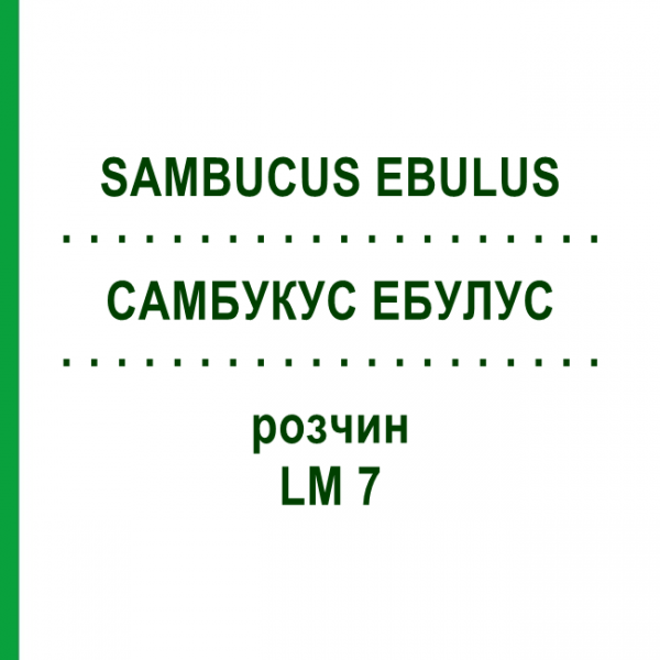 САМБУКУС ЭБУЛУС (SAMBUCUS EBULUS) LM 7 раствор 10 мл - Гомеопатия ARCANA DR.SEWERIN