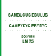 САМБУКУС ЭБУЛУС (SAMBUCUS EBULUS) LM 75 раствор 10 мл - Гомеопатия ARCANA DR.SEWERIN