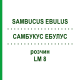 САМБУКУС ЭБУЛУС (SAMBUCUS EBULUS) LM 8 раствор 10 мл - Гомеопатия ARCANA DR.SEWERIN