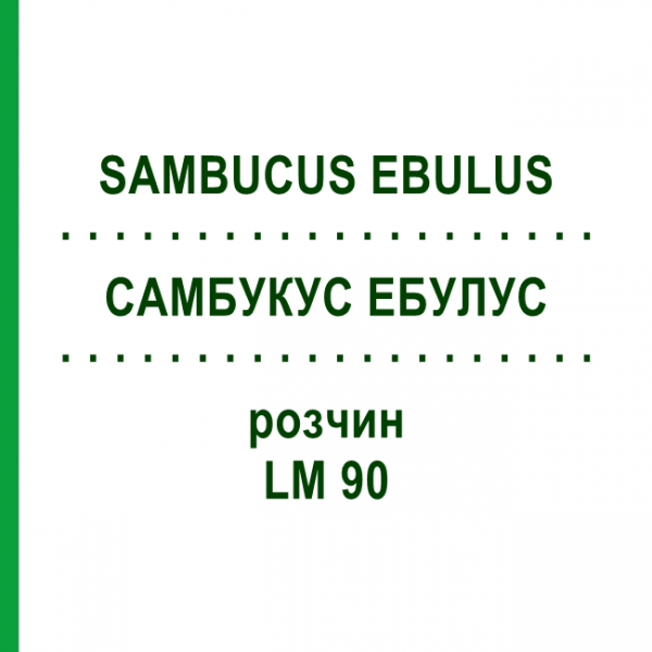 САМБУКУС ЭБУЛУС (SAMBUCUS EBULUS) LM 90 раствор 10 мл - Гомеопатия ARCANA DR.SEWERIN