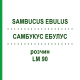САМБУКУС ЭБУЛУС (SAMBUCUS EBULUS) LM 90 раствор 10 мл - Гомеопатия ARCANA DR.SEWERIN