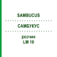 САМБУКУС (SAMBUCUS) LM 10 раствор 10 мл - Гомеопатия ARCANA DR.SEWERIN