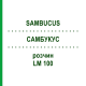 САМБУКУС (SAMBUCUS) LM 100 раствор 10 мл - Гомеопатия ARCANA DR.SEWERIN
