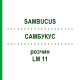 САМБУКУС (SAMBUCUS) LM 11 раствор 10 мл - Гомеопатия ARCANA DR.SEWERIN