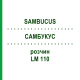 САМБУКУС (SAMBUCUS) LM 110 раствор 10 мл - Гомеопатия ARCANA DR.SEWERIN