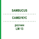 САМБУКУС (SAMBUCUS) LM 13 раствор 10 мл - Гомеопатия ARCANA DR.SEWERIN