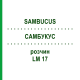 САМБУКУС (SAMBUCUS) LM 17 раствор 10 мл - Гомеопатия ARCANA DR.SEWERIN