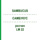 САМБУКУС (SAMBUCUS) LM 22 раствор 10 мл - Гомеопатия ARCANA DR.SEWERIN
