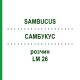 САМБУКУС (SAMBUCUS) LM 26 раствор 10 мл - Гомеопатия ARCANA DR.SEWERIN