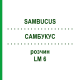 САМБУКУС (SAMBUCUS) LM 6 раствор 10 мл - Гомеопатия ARCANA DR.SEWERIN