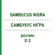 САМБУКУС НИГРА (SAMBUCUS NIGRA) D 2 раствор 50 мл - Гомеопатия DHU