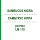САМБУКУС НИГРА (SAMBUCUS NIGRA) LM 110 раствор 10 мл - Гомеопатия ARCANA DR.SEWERIN