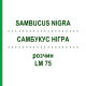 САМБУКУС НИГРА (SAMBUCUS NIGRA) LM 75 раствор 10 мл - Гомеопатия ARCANA DR.SEWERIN