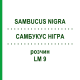 САМБУКУС НИГРА (SAMBUCUS NIGRA) LM 9 раствор 10 мл - Гомеопатия ARCANA DR.SEWERIN