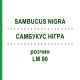САМБУКУС НИГРА (SAMBUCUS NIGRA) LM 90 раствор 10 мл - Гомеопатия ARCANA DR.SEWERIN