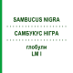 САМБУКУС НИГРА (SAMBUCUS NIGRA) LM I глобули 5 г - Гомеопатия DHU