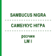 САМБУКУС НИГРА (SAMBUCUS NIGRA) LM I раствор 10 мл - Гомеопатия DHU