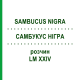САМБУКУС НИГРА (SAMBUCUS NIGRA) LM XXIV раствор 10 мл - Гомеопатия DHU