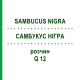САМБУКУС НИГРА (SAMBUCUS NIGRA) Q 12 раствор 15 мл - Гомеопатия GUDJONS