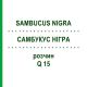 САМБУКУС НИГРА (SAMBUCUS NIGRA) Q 15 раствор 15 мл - Гомеопатия GUDJONS