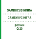 САМБУКУС НИГРА (SAMBUCUS NIGRA) Q 20 раствор 15 мл - Гомеопатия GUDJONS