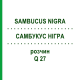 САМБУКУС НИГРА (SAMBUCUS NIGRA) Q 27 раствор 15 мл - Гомеопатия GUDJONS