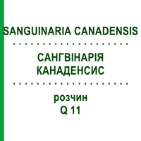 САНГВИНАРИЯ КАНАДЕНСИС (SANGUINARIA CANADENSIS) Q 11 раствор 15 мл - Гомеопатия GUDJONS