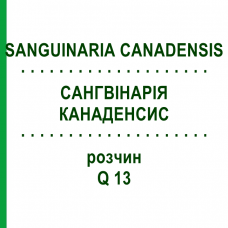 САНГВИНАРИЯ КАНАДЕНСИС (SANGUINARIA CANADENSIS) Q 13 раствор 15 мл - Гомеопатия GUDJONS