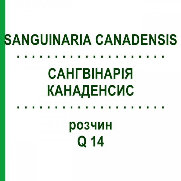 САНГВІНАРІЯ КАНАДЕНСИС (SANGUINARIA CANADENSIS) Q 14 розчин 15 мл - Гомеопатія GUDJONS