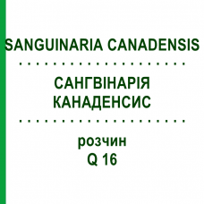 САНГВИНАРИЯ КАНАДЕНСИС (SANGUINARIA CANADENSIS) Q 16 раствор 15 мл - Гомеопатия GUDJONS