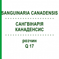 САНГВИНАРИЯ КАНАДЕНСИС (SANGUINARIA CANADENSIS) Q 17 раствор 15 мл - Гомеопатия GUDJONS