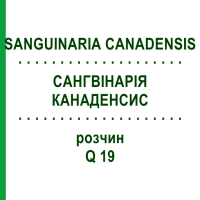 САНГВІНАРІЯ КАНАДЕНСИС (SANGUINARIA CANADENSIS) Q 19 розчин 15 мл - Гомеопатія GUDJONS
