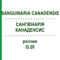 САНГВІНАРІЯ КАНАДЕНСИС (SANGUINARIA CANADENSIS) Q 20 розчин 15 мл - Гомеопатія GUDJONS