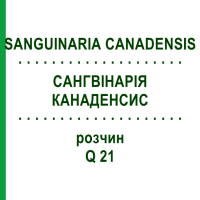 САНГВІНАРІЯ КАНАДЕНСИС (SANGUINARIA CANADENSIS) Q 21 розчин 15 мл - Гомеопатія GUDJONS