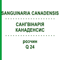 САНГВИНАРИЯ КАНАДЕНСИС (SANGUINARIA CANADENSIS) Q 24 раствор 15 мл - Гомеопатия GUDJONS