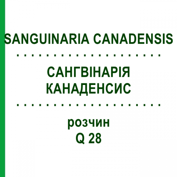 САНГВИНАРИЯ КАНАДЕНСИС (SANGUINARIA CANADENSIS) Q 28 раствор 15 мл - Гомеопатия GUDJONS