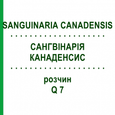 САНГВИНАРИЯ КАНАДЕНСИС (SANGUINARIA CANADENSIS) Q 7 раствор 15 мл - Гомеопатия GUDJONS