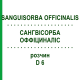 САНГВИСОРБА ОФФИЦИНАЛИС (SANGUISORBA OFFICINALIS) D 6 раствор 50 мл - Гомеопатия DHU