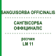 САНГВИСОРБА ОФФИЦИНАЛИС (SANGUISORBA OFFICINALIS) LM 11 раствор 10 мл - Гомеопатия ARCANA DR.SEWERIN