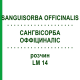 САНГВИСОРБА ОФФИЦИНАЛИС (SANGUISORBA OFFICINALIS) LM 14 раствор 10 мл - Гомеопатия ARCANA DR.SEWERIN