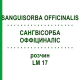 САНГВИСОРБА ОФФИЦИНАЛИС (SANGUISORBA OFFICINALIS) LM 17 раствор 10 мл - Гомеопатия ARCANA DR.SEWERIN