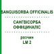 САНГВИСОРБА ОФФИЦИНАЛИС (SANGUISORBA OFFICINALIS) LM 2 раствор 10 мл - Гомеопатия ARCANA DR.SEWERIN