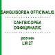 САНГВИСОРБА ОФФИЦИНАЛИС (SANGUISORBA OFFICINALIS) LM 27 раствор 10 мл - Гомеопатия ARCANA DR.SEWERIN