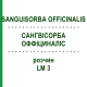 САНГВИСОРБА ОФФИЦИНАЛИС (SANGUISORBA OFFICINALIS) LM 3 раствор 10 мл - Гомеопатия ARCANA DR.SEWERIN