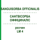 САНГВИСОРБА ОФФИЦИНАЛИС (SANGUISORBA OFFICINALIS) LM 4 раствор 10 мл - Гомеопатия ARCANA DR.SEWERIN