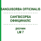 САНГВИСОРБА ОФФИЦИНАЛИС (SANGUISORBA OFFICINALIS) LM 7 раствор 10 мл - Гомеопатия ARCANA DR.SEWERIN