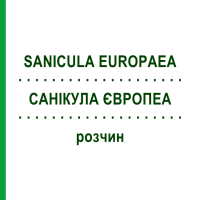 САНИКУЛА ЕВРОПЕА (SANICULA EUROPAEA) раствор 20 мл - Гомеопатия DHU