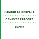 САНИКУЛА ЕВРОПЕА (SANICULA EUROPAEA) раствор 20 мл - Гомеопатия DHU