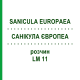 САНИКУЛА ЕВРОПЕА (SANICULA EUROPAEA) LM 11 раствор 10 мл - Гомеопатия ARCANA DR.SEWERIN